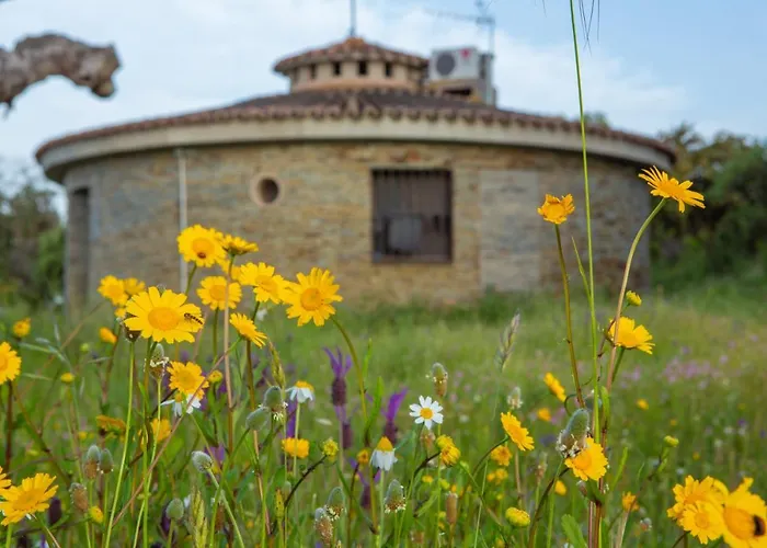 Chozos Del Geoparque *